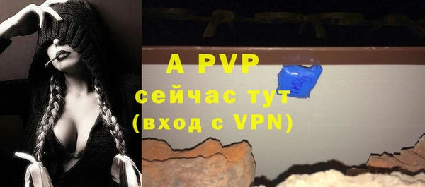 ПСИЛОЦИБИНОВЫЕ ГРИБЫ Пересвет
