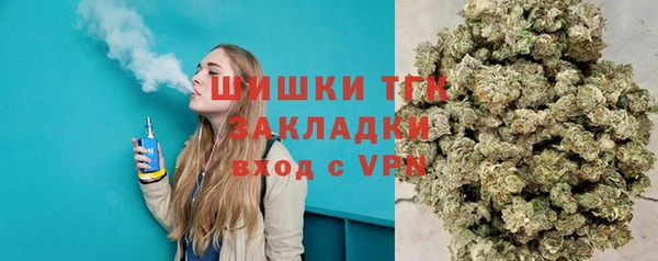 сатива Арсеньев