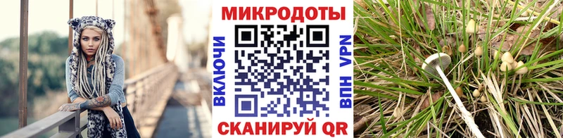 Галлюциногенные грибы мухоморы  Белогорск 